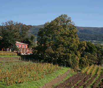Gasthuis Quinta Vinhas